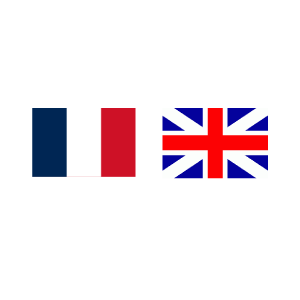Bilingualism