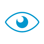 Vision